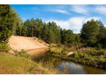 Дикий отдых по-королевски: ТОП-40+ мест для кемпинга в Беларуси, изображение 25